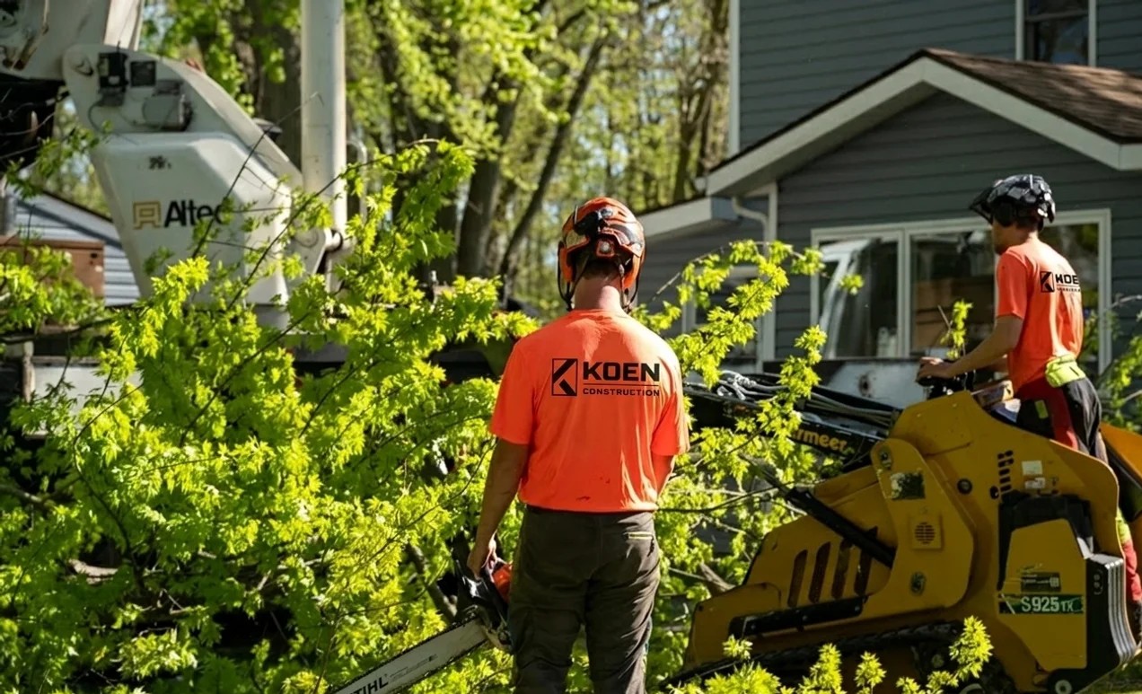Tree Services